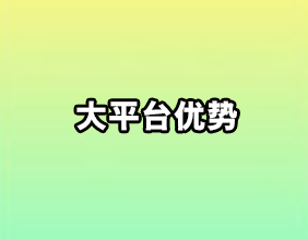 大平台优势